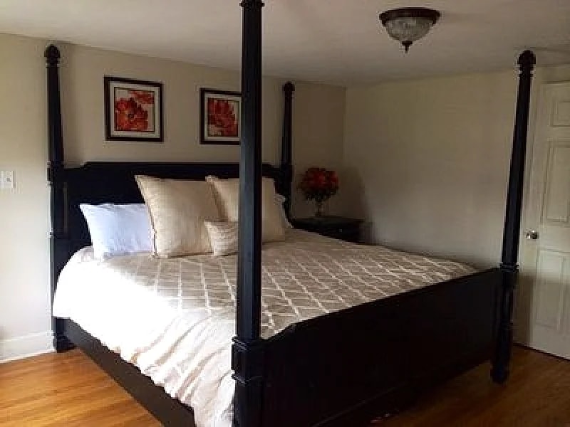 Spacious Home on Quiet Side Street in Downtown Hamilton in Hamilton, New York, United States — photo 4