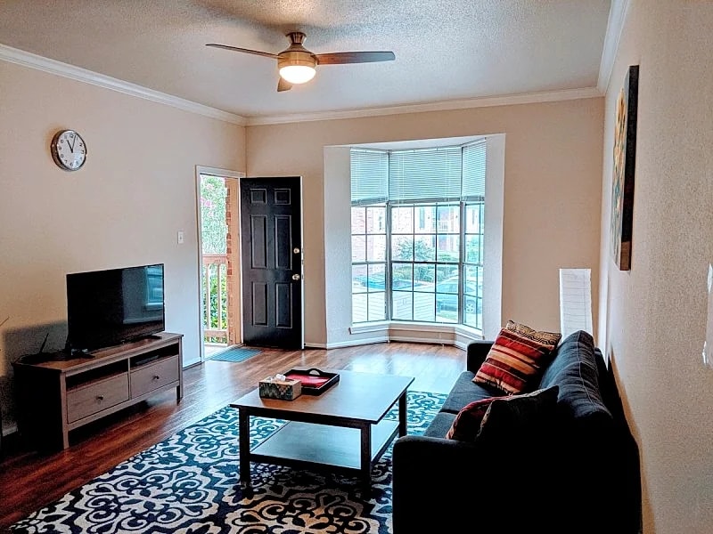 Beautiful One Bed, 10+ years Superhost, Vicinity of MD Anderson, TMC, Rice U. in Houston, Texas, United States — photo 4
