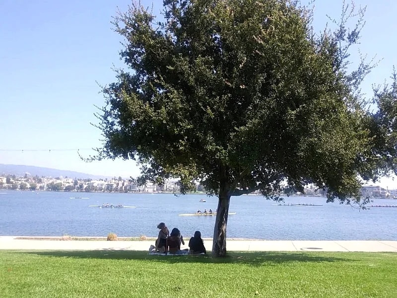 LAKE MERRITT STUDIO # 3 Great location & Value in Oakland, California, United States — photo 2