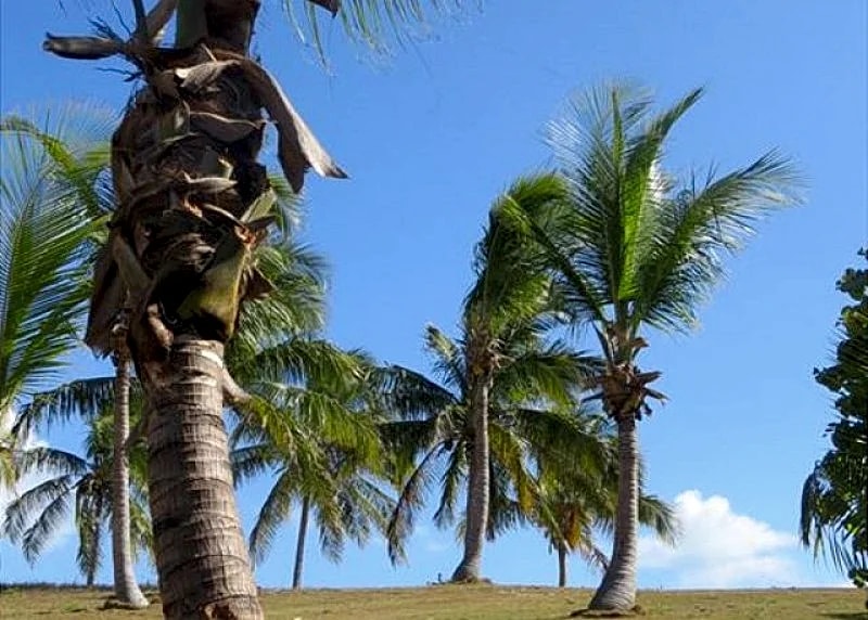 Shangri-La, Bahamas Tropical Beach Villa, Atlantic Ocean in Eleuthera, Bahamas — photo 4