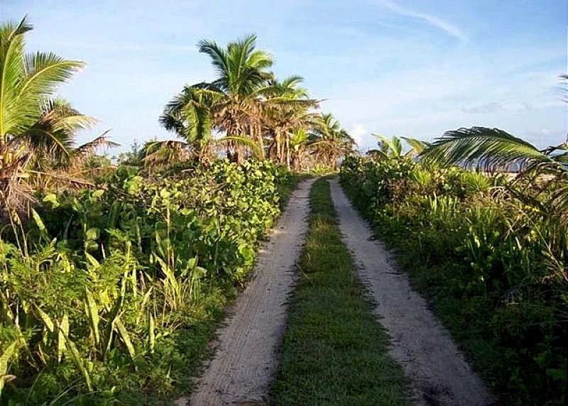 Newly Remodeled Med Point, Best Romantic Beach House, French Leave Beach in Eleuthera, Bahamas — photo 2