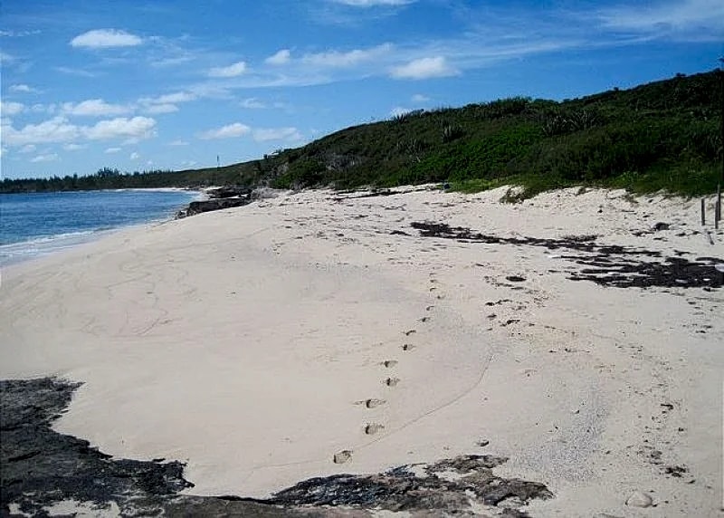 Beachfront House with Pool and Totally Private and Secluded Beach in Eleuthera, Bahamas — photo 5