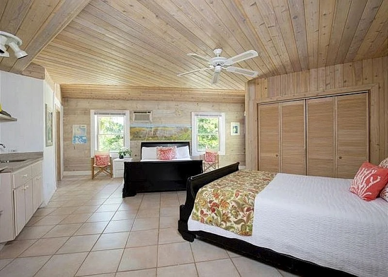 Tropical Beach Villa with Guest Cottage, Steps from Beach in Eleuthera, Bahamas — photo 3