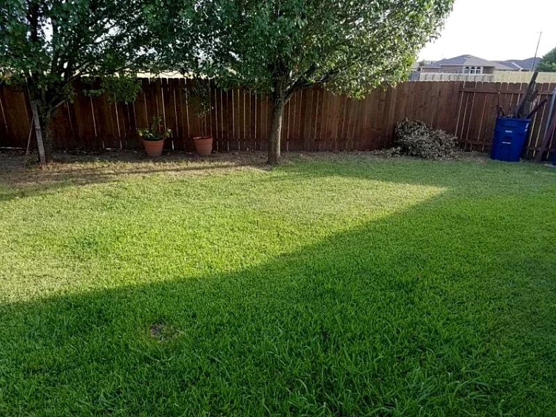 4 Bedrooms 2 Bathrooms House 303 Richards Dr in Hutto, Texas, United States — photo 2