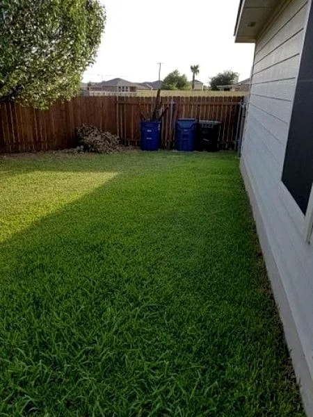 4 Bedrooms 2 Bathrooms House 303 Richards Dr in Hutto, Texas, United States — photo 5