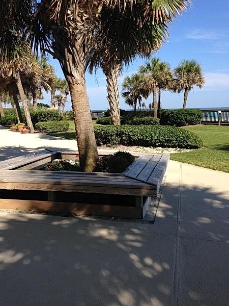 Check This One Out! Best Location-Quiet And Nice Wide Beach in Myrtle Beach, South Carolina, United States — photo 4