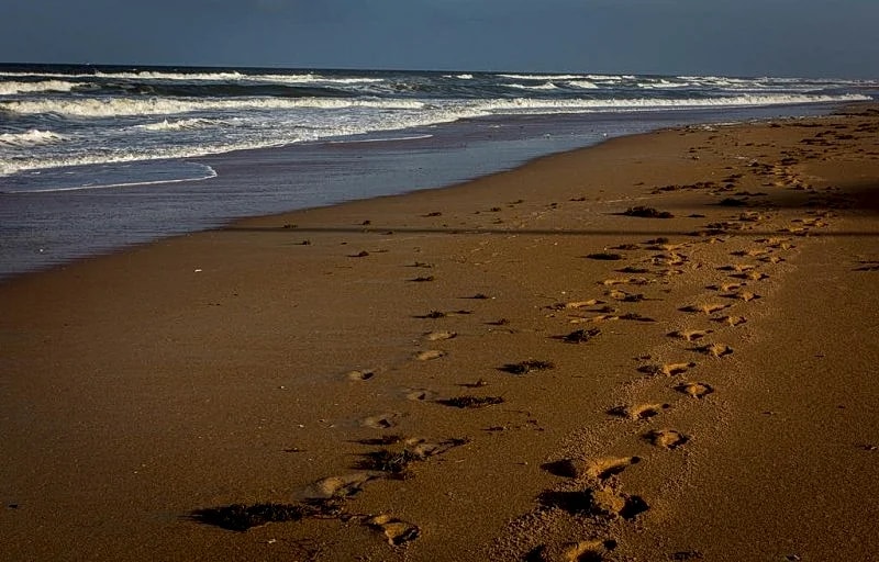 View the ocean at Flagler Beach, Florida in Flagler Beach, Florida, United States — photo 2