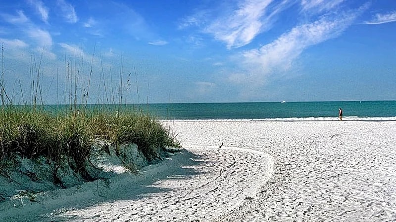 Gulf & Bay Bayside - 1200 On Siesta Key in Siesta Key, Florida, United States — photo 4