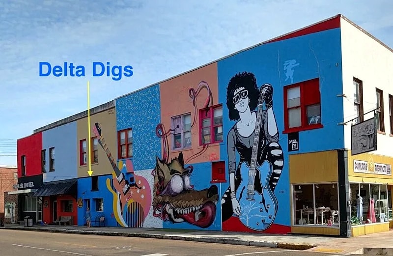 Delta Digs - 'The Place To Lay It Down In Clarksdale