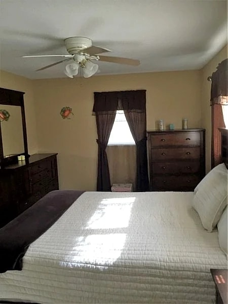 Alice's Beach Bungalows 2 Bedroom Home 500' to the Beach! in Treasure Island, Florida, United States — photo 4