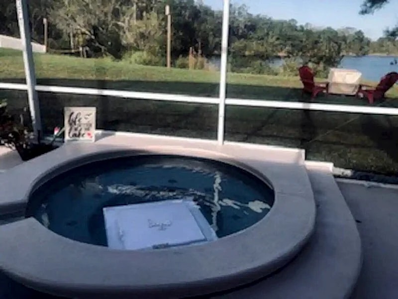 Hummingbird Haven in Davenport, Florida, United States — photo 2