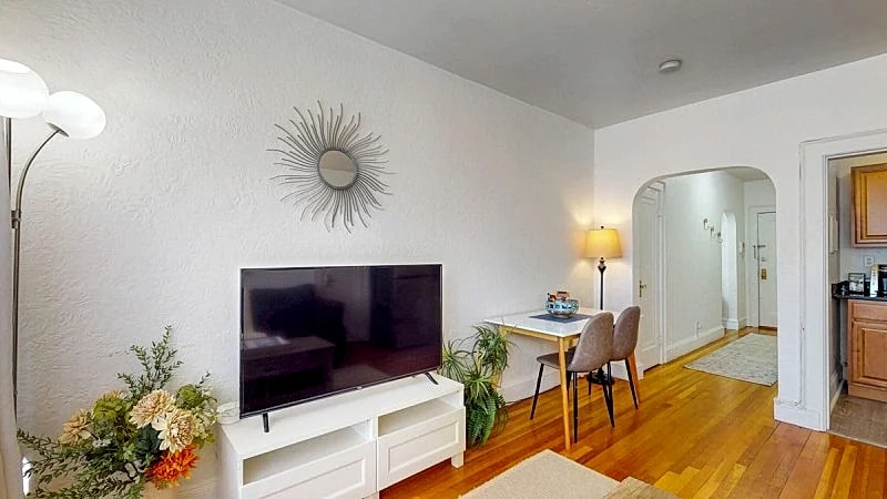 Cozy 1B, Green Line, Boston Coll, Elev, Roof Deck in Boston, Massachusetts, United States — photo 4