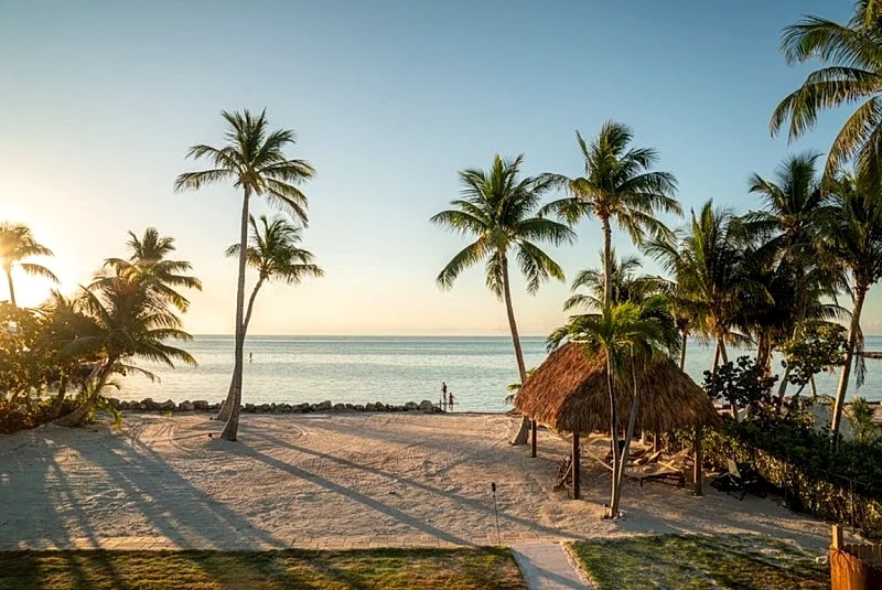 Oceanfront Oasis - Pinch me am I dreaming!!! in Islamorada, Florida, United States — photo 4