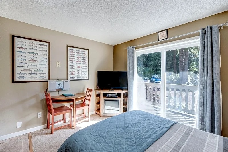 Snowline Lodge Condo #37 - Cute Condo - Sleeps 2 in Deming, Washington, United States — photo 4