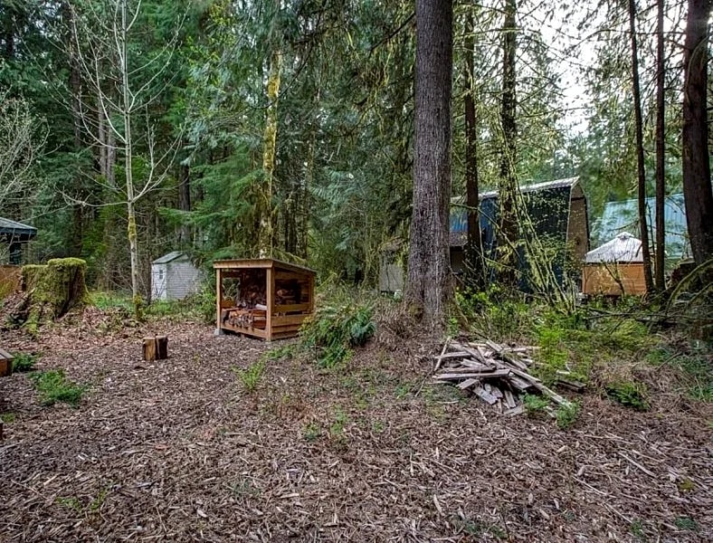 Snowline Cabin #74 - Wi-Fi - Pets Ok - BBQ in Glacier, Washington, United States — photo 4