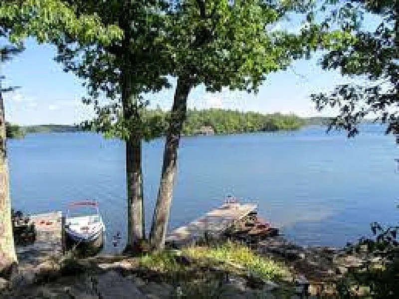 The Woodlot -F474 in Riley Lake, Ontario, Canada — photo 4