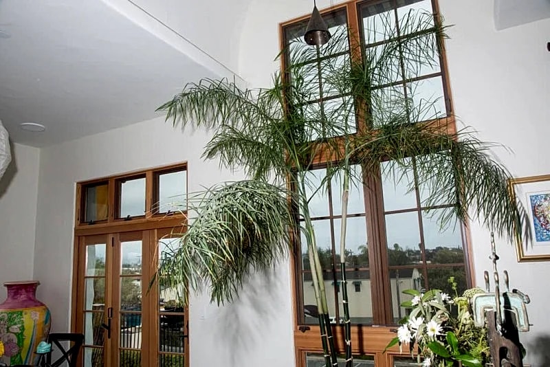 El Zapato- Entire House in Santa Barbara, California, United States — photo 4