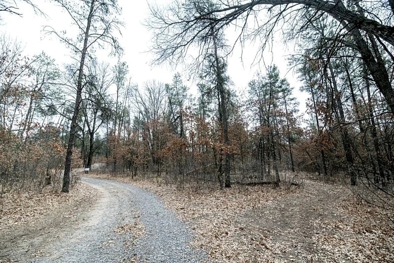 SECLUDED RUSTIC RETREAT - PET FRIENDLY in Nekoosa, Wisconsin, United States — photo 5