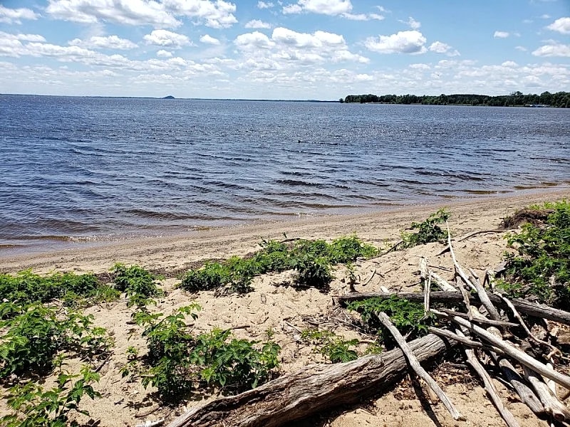 ONE OF A KIND FAMILY BEACH FRONT HOME ON LAKE PETENWELL - PET FRIENDLY in Necedah, Wisconsin, United States — photo 3