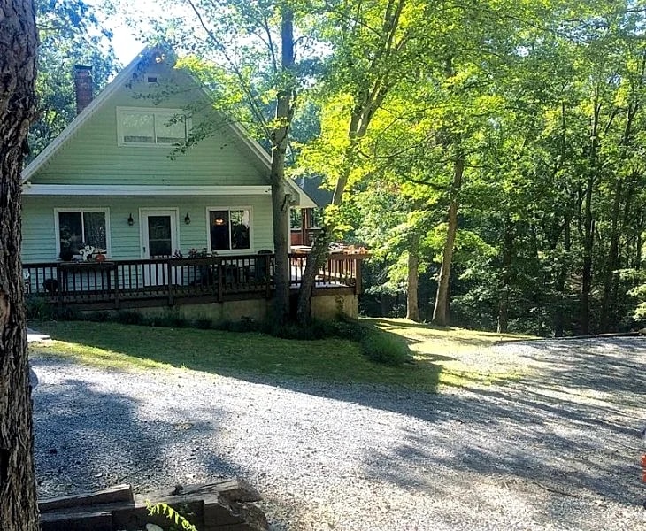 Woodland Magic in Page County, Virginia, United States — photo 2