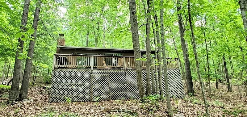 Hillside Haven | 2 Bed, 1 Bath | Cabin in New Market with Patio in New Market, Virginia, United States — photo 2