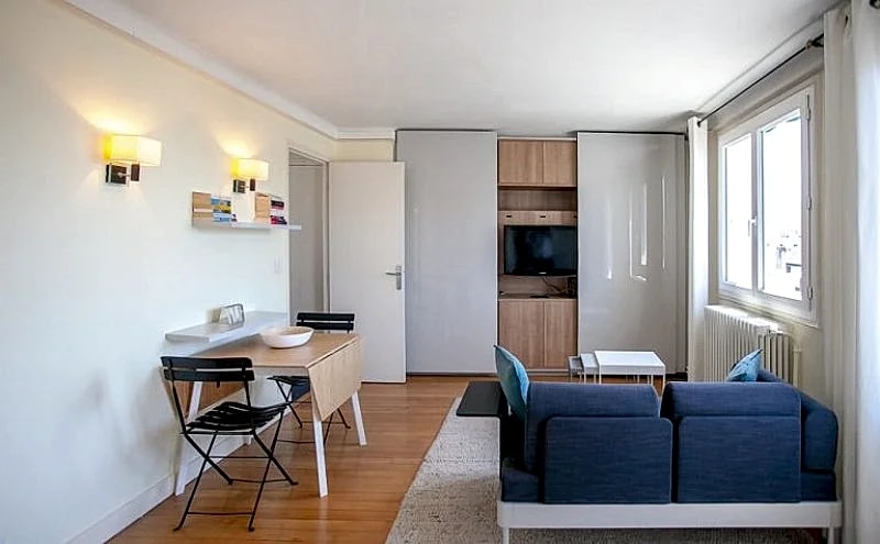 ENTREPRENEURS large studio with terrace near in lively Commerce street in 75 Rue Des Entrepreneurs, Paris, France — photo 3
