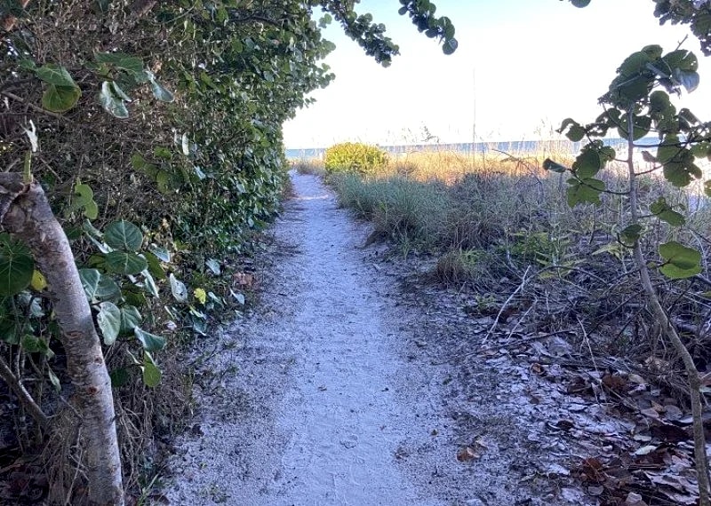 Siesta Key The Anchorage #207 amenities galore in Siesta Key, Florida, United States — photo 4