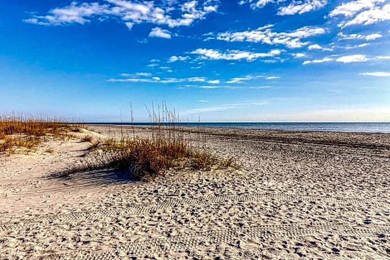 Incredible 1 Bedroom Condo, Renovated, Steps from Beach in Isle Of Palms, South Carolina, United States — photo 5