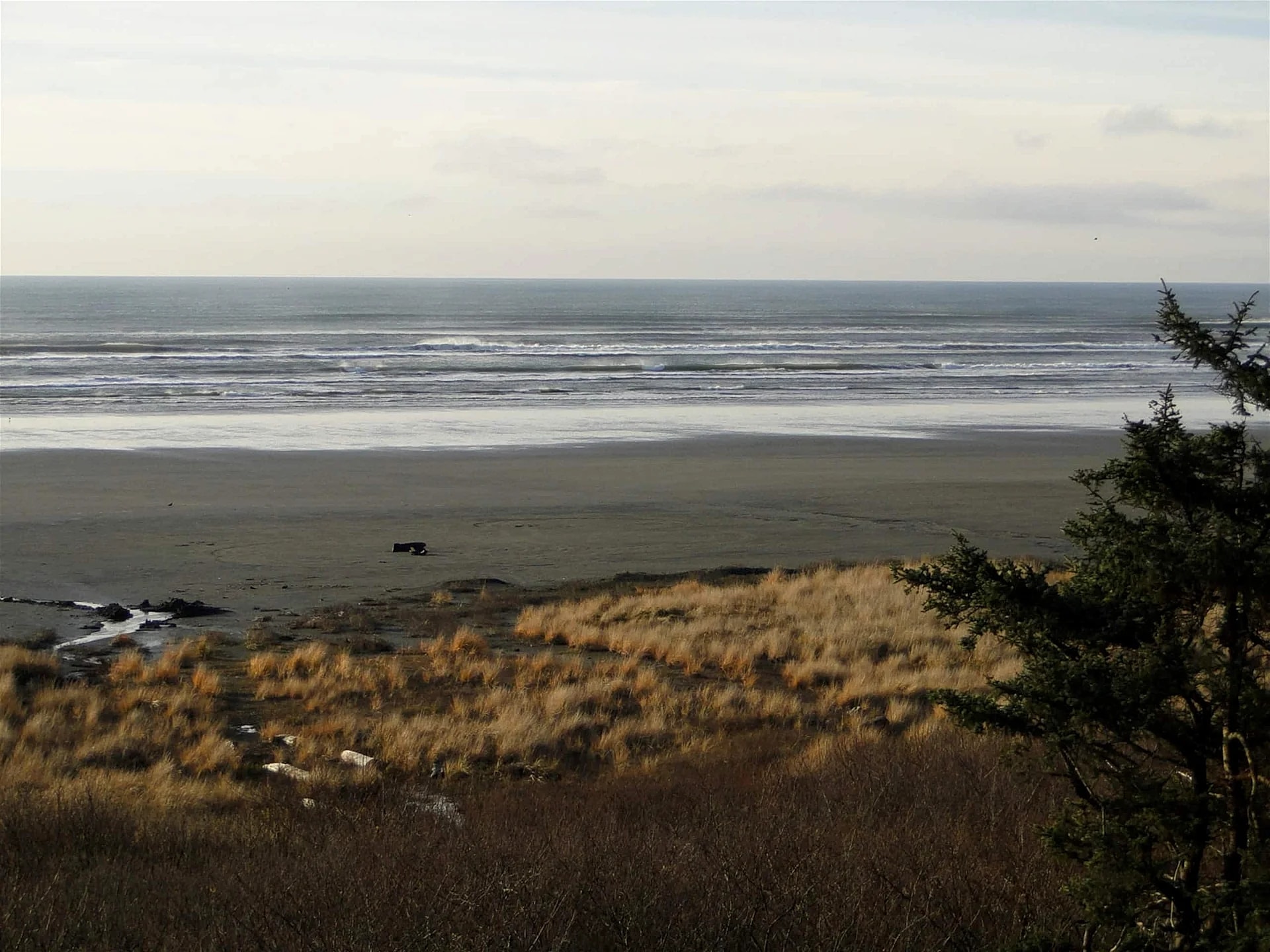 Oceanfront Retreats and Reunions, panoramic view! in Hoquiam, Washington, United States — photo 3