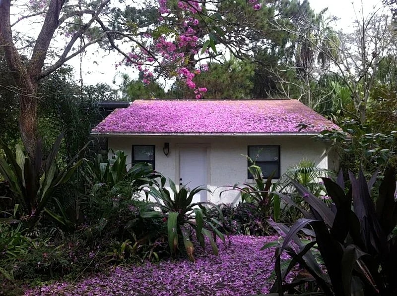 Urban Oasis: Secluded Cottage w/ Lush Botanical Gardens