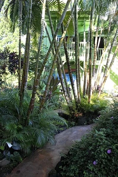 Paradise On a Budget! Hilo Vacation Home in Hilo, Hawaii, United States — photo 5