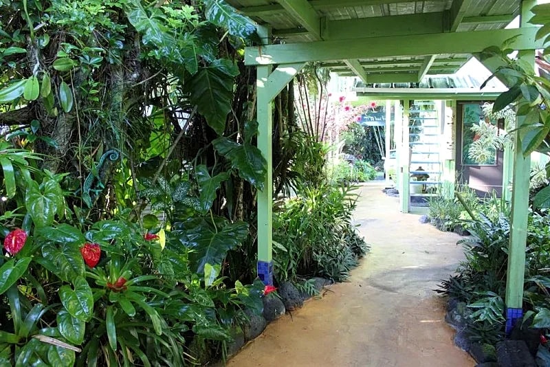 Paradise On a Budget! Hilo Vacation Home in Hilo, Hawaii, United States — photo 4