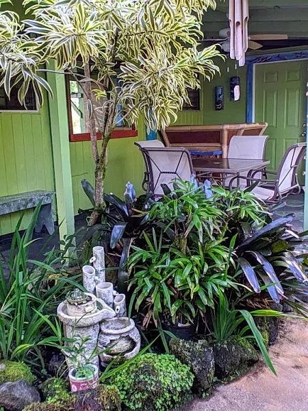 Rain Forest Apartment! Hilo Vacation Home Rentals in Hilo, Hawaii, United States — photo 3