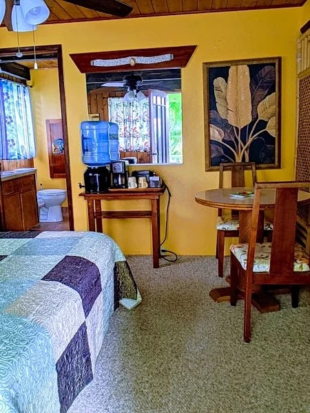 Tropical Studio Apartment in Hilo, Hawaii in Hilo, Hawaii, United States — photo 3