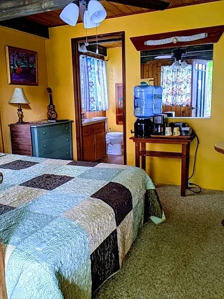 Tropical Studio Apartment in Hilo, Hawaii in Hilo, Hawaii, United States — photo 4