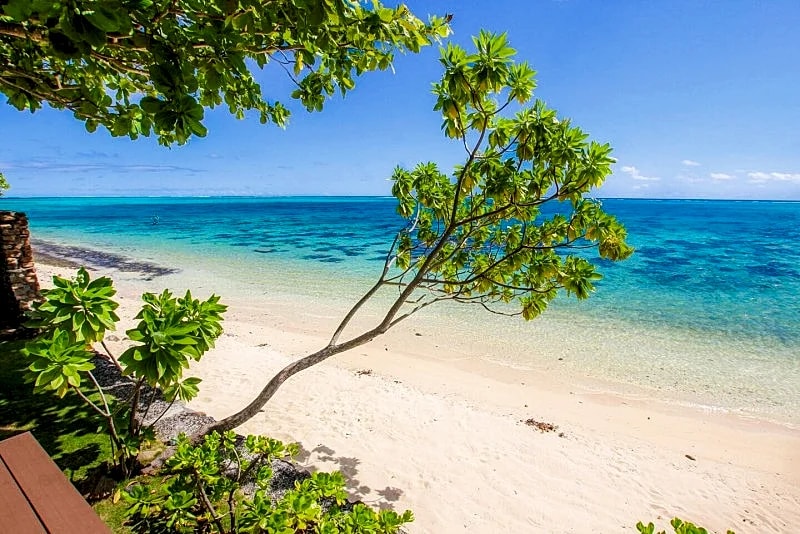 Incredible 2 Bedroom Bungalow near Temae Beach Vacation Home in Temae, Moorea Maiao, French Polynesia — photo 5