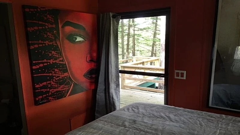Peaceful Nest / Nirvana Amidst Trees in Bristol, New Hampshire, United States — photo 4