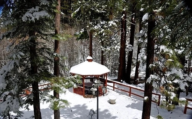 Close To Everything, but Away From It All! Pet Friendly Paradise Forest Back in South Lake Tahoe, California, United States — photo 2