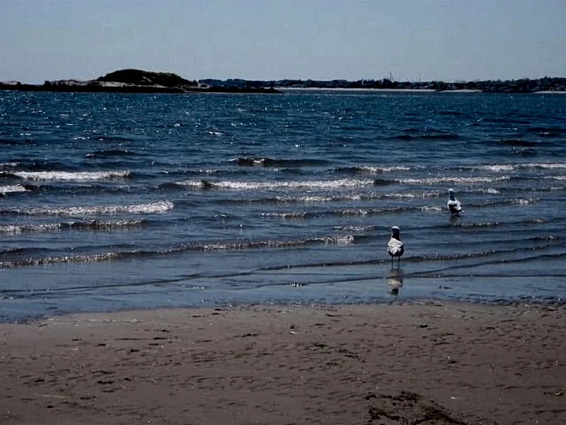 4-Bedroom Beach Home in Westbrook, CT with Private Shoreline Access in Westbrook, Connecticut, United States — photo 5