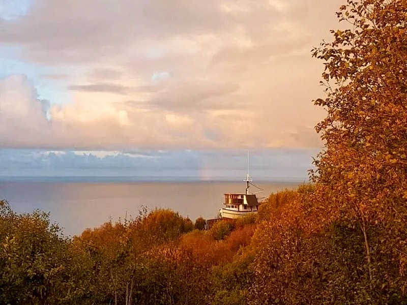 The Dovetail Cabin - Homer Lakefront Lodging, AK in Homer, Alaska, United States — photo 4