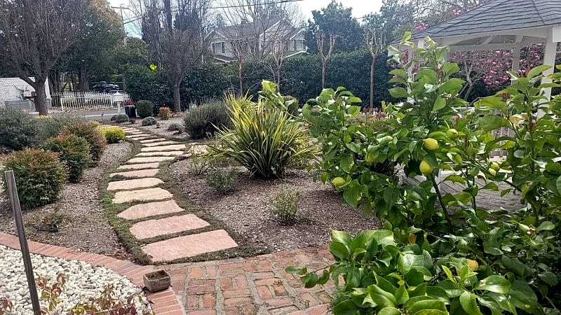 Walk to the plaza! 3Bed 3Bath in Sonoma in Sonoma, California, United States — photo 4