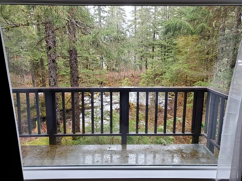 Quite Oasis Near Mendenhall Glacier and Trails