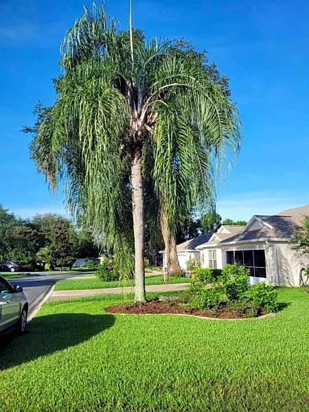 Antonia | Charming 3B, 2B Home in The Villages - Golf Cart & BBQ in The Villages, Florida, United States — photo 3