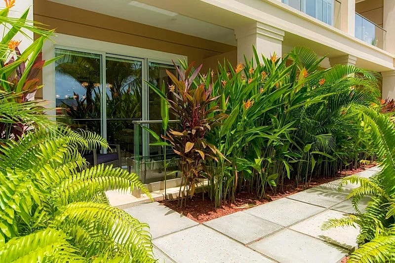 Eagle Beach- Best 2BR rates at LeVent Resort-LV105 in Oranjestad, Aruba — photo 3