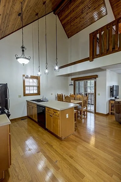 L119A Family Funtimes 1-Br Loft Lakefront Cabin in Branson West, Missouri, United States — photo 5