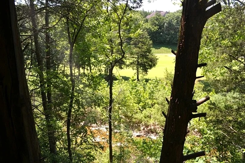 4Br, 4Ba Refreshing Roark Creek Cabin in Branson West, Missouri, United States — photo 5