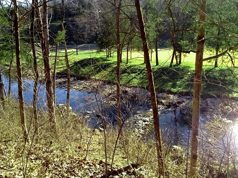 4Br, 4Ba Refreshing Roark Creek Cabin in Branson West, Missouri, United States — photo 3