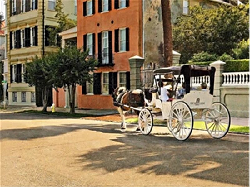 Beach or City! Have Both!!! Nice Affordable Whole Home close to Everything in Charleston, South Carolina, United States — photo 5