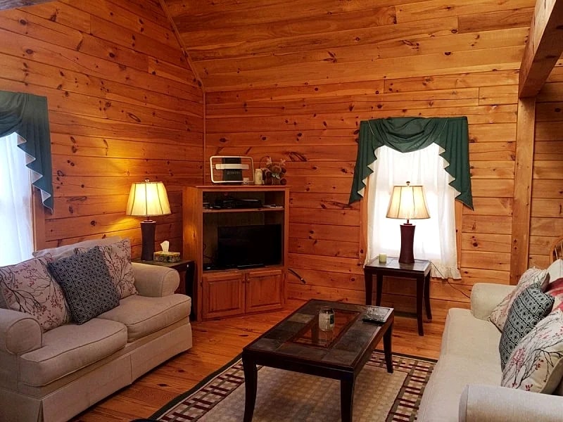 Log Cabin Suissevale Beach Access Home in Moultonborough, New Hampshire, United States — photo 3