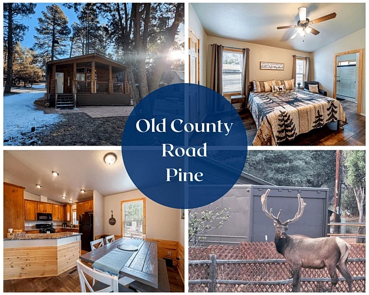 Old County Pine